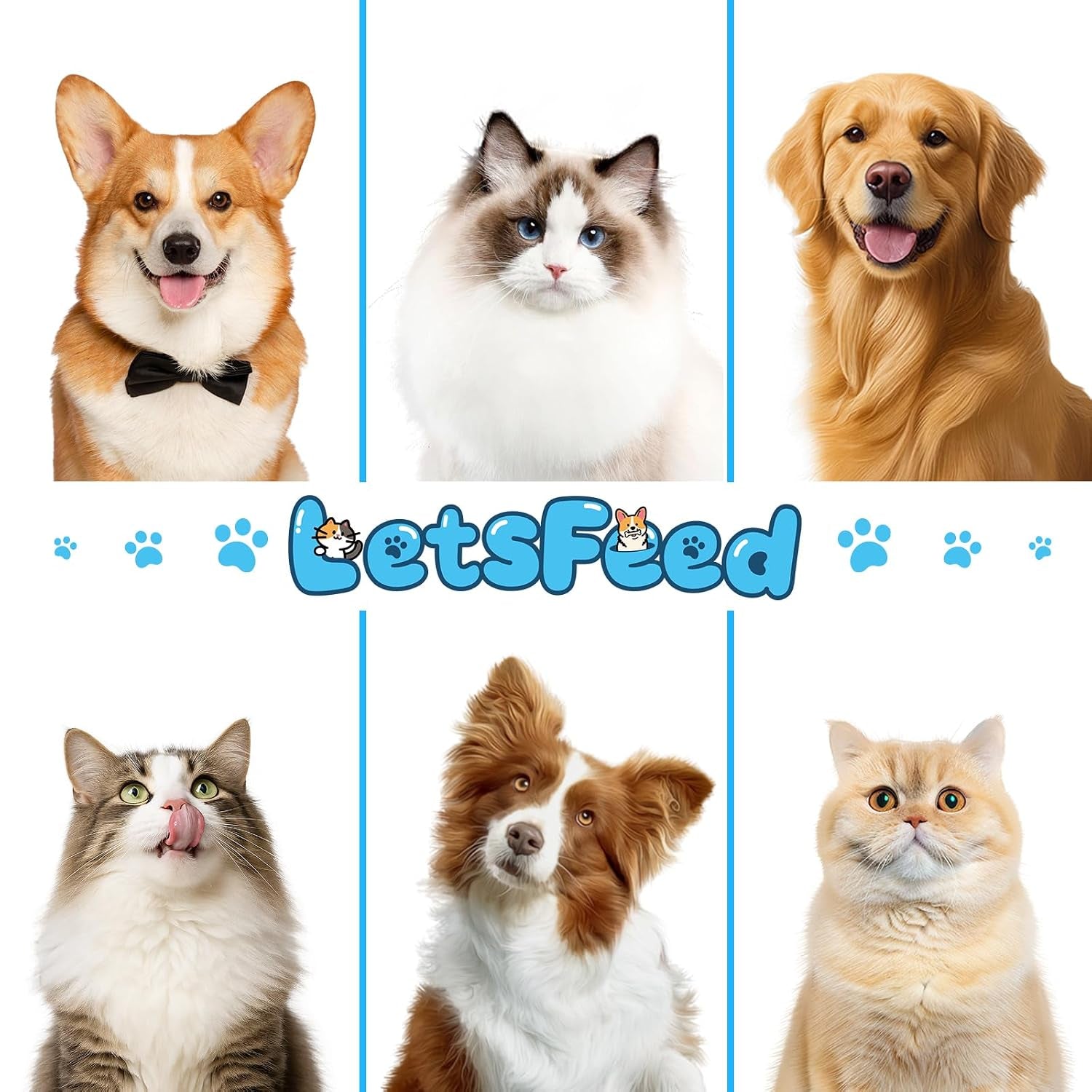 Spray De Recarga Para Cepillo De Vapor - Shampoo En Seco Concentrado